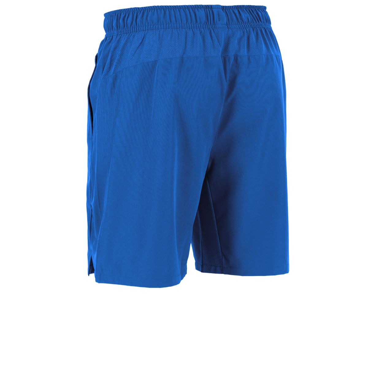 Reece Major Shorts - Blue